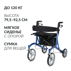 Main product